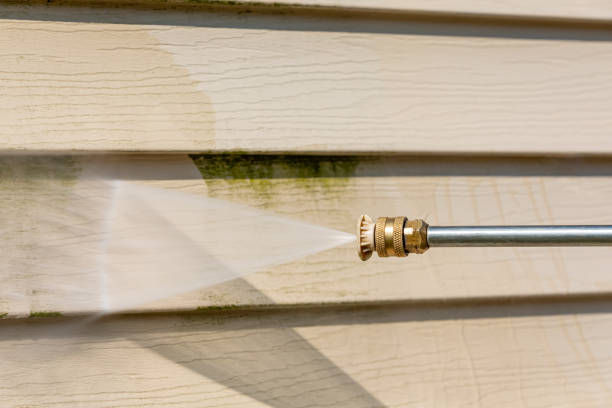 Best Pressure Washing Patio  in Warren Park, IN